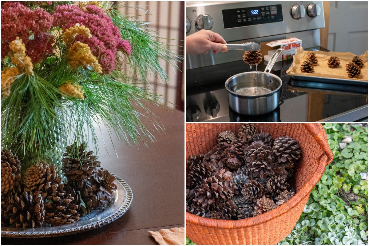 14 Brilliant Uses for Pine Cones in Your Home & Garden