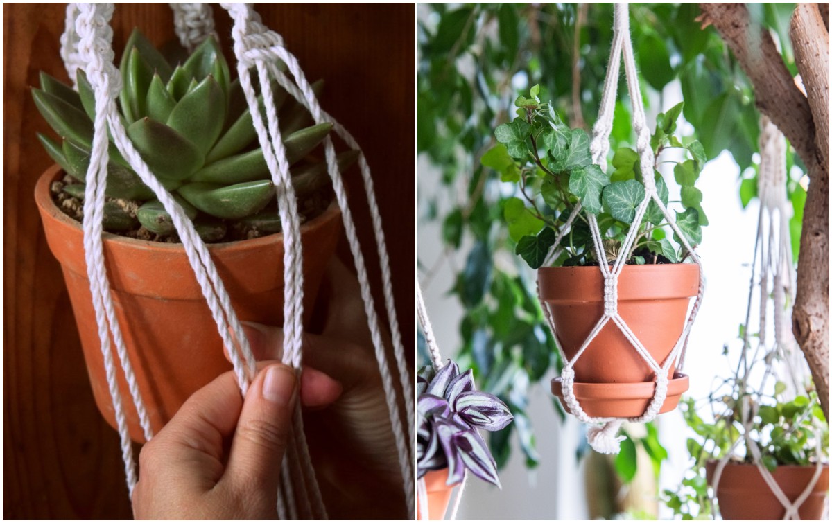DIY Macrame Plant Hanger Tutorial With Photos