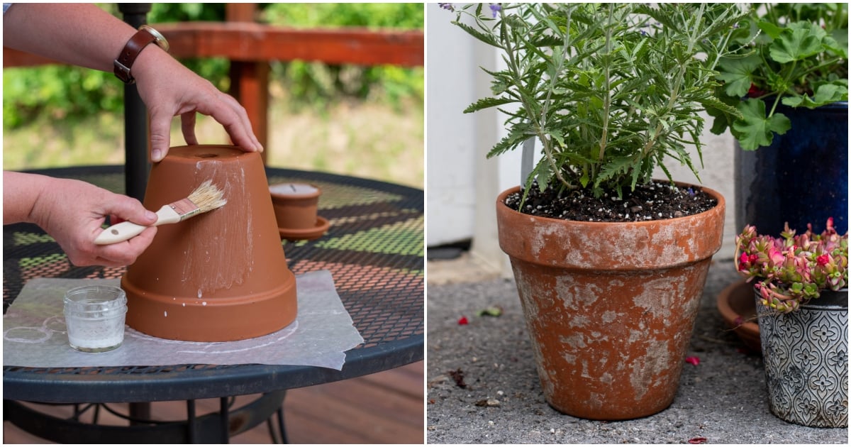 The Best Way To Age Terracotta Pots (& What Doesn’t Work)