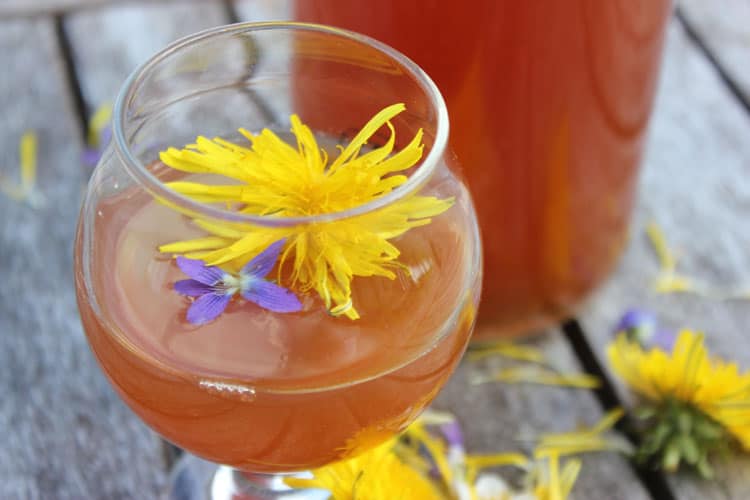 Wildflower Kombucha :: The taste of summer, in a fizzy ferment!